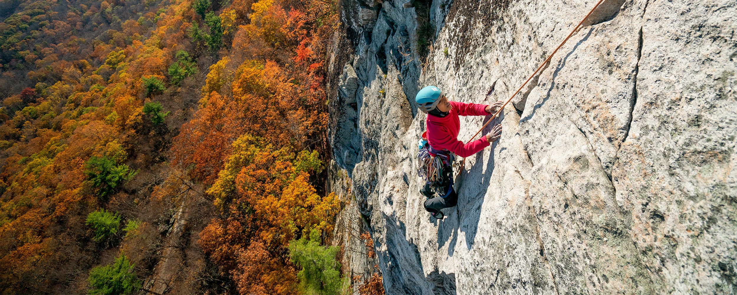 A woman climbs a rock wall with fall colored leaves on the trees below.