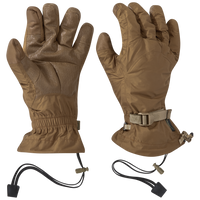 Coyote | E1